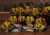 19/02/2011 - Fiamma Gorizia - Rhinos Treviso