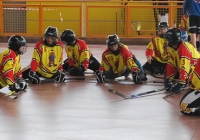 30/05/2010 - Quinto Mini Hockey Day a Buja (UD)